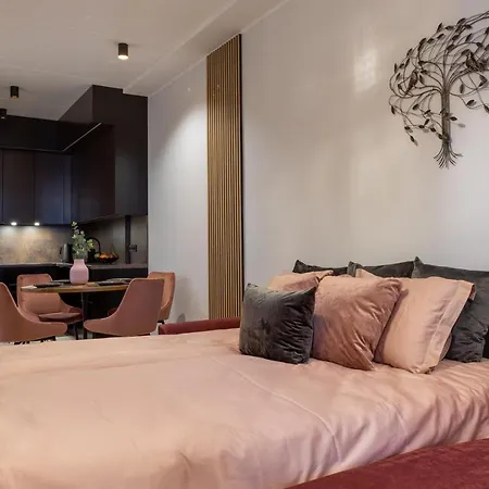 Centre With Large Terrace Apartment
